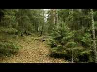 pochette album Gebrechlichkeit