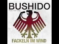 pochette album Fackeln im wind