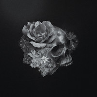 pochette album Fontana nettuno