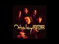 pochette album Antidotes