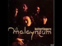 pochette album Ginseng