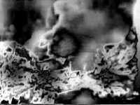 pochette album Boiled dove