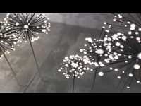 pochette album The weird revolution