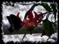 pochette album Call me