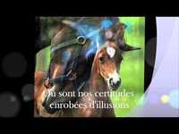 pochette album De quoi nos vies sont faites