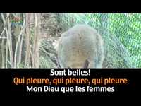 pochette album Animal