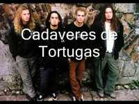 pochette album Street-hunter