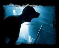 pochette album What we want