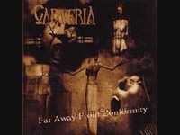 pochette album The divine rapture