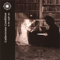 pochette album The once and future king