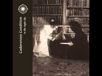 pochette album To the distant grey