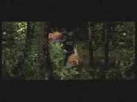 pochette album It's not the fall that hurts