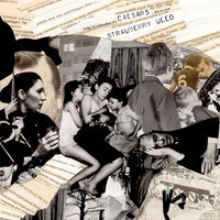 pochette album New years day