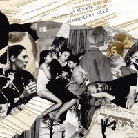 pochette album No tomorrow