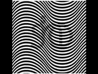 pochette album Vamonos