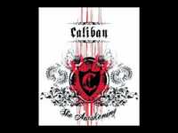 pochette album I believe