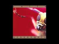 pochette album The swarm