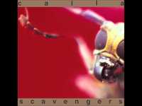 pochette album Tijerina