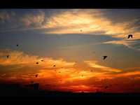 pochette album A magic farewell