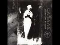 pochette album The meaning of solitude