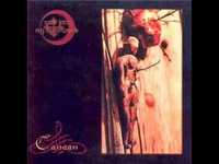 pochette album Walk into my open womb