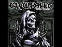 pochette album Lone wolf