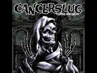 pochette album The final harvest