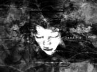 pochette album Evolutionize