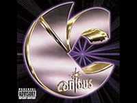 pochette album Indestructible