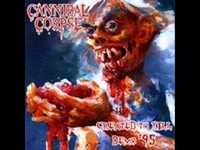 pochette album To kill myself