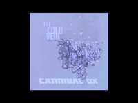 pochette album Ridiculoid