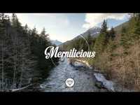 pochette album Lazy lies (clifflight remix)