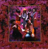 pochette album Sweet sweet bulbs