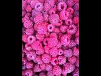 pochette album Cecil runs