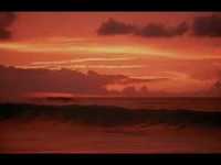 pochette album Daddy's car