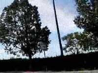 pochette album In the round