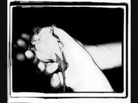 pochette album Lead me into the night