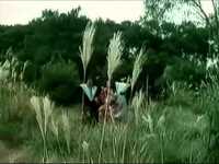 pochette album Brahminy kite