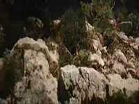 pochette album Fidarmi delle tue ...