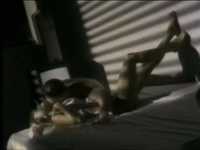 pochette album City streets