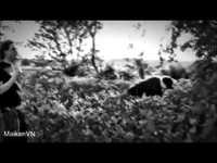 pochette album Brothers