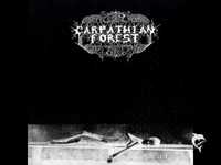 pochette album Lunar nights