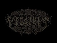 pochette album The northern hemisphere