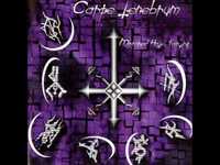 pochette album The painting