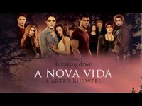 pochette album A nova vida