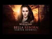 pochette album Bella reborn