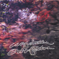 pochette album Amber