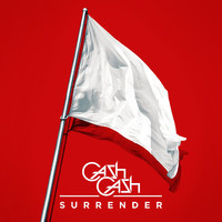 pochette album Surrender