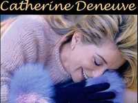 pochette album Dépression au-dessus du jardin