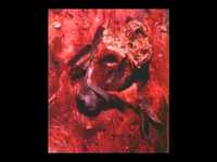 pochette album Cloned for carrion